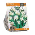 Baltus Narcissus Triandrus Ice Wings bloembollen per 3 stuks
